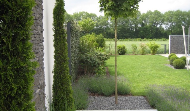 Gartenumgestaltung mit Poolanlage | Landkreis Fürstenfeldbruck